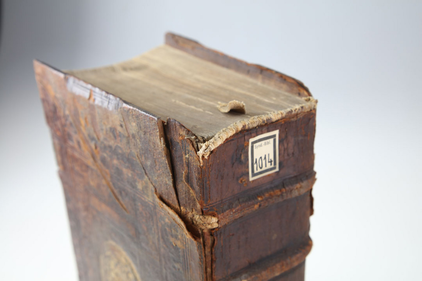 Foto eines beschädigten Buches aus dem Jahr 1560: Lonitzer, Adam: Naturalis historiae opus novum <dt.> Kräuterbuch, Frankfurt a. M.: Egenolff, Jahr: 1560, Neuausg. Signatur: SB1014