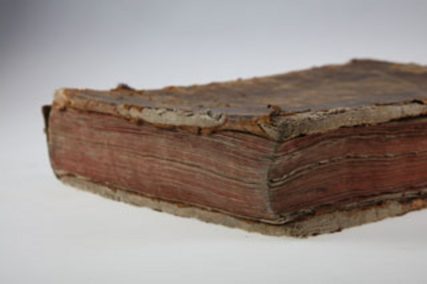 Foto der Seiten eines historischen, beschädigten Buches aus 1493.
