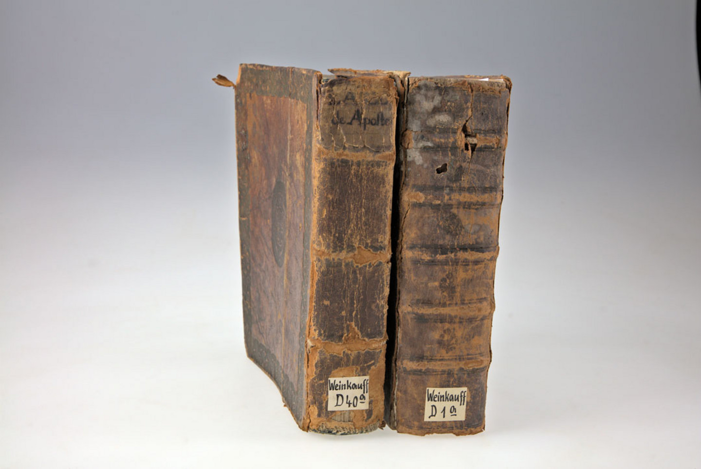 Foto beschädigter Bücher aus dem Jahr 1738: Laselve, Zachari: Annus apostolicus. Coloniae: Pütz,1738. Signatur: WEIN.D40+A