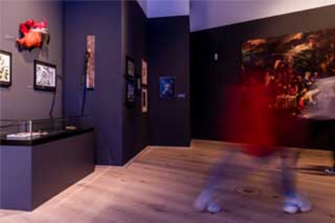 Photo of the exhibition in which pictures and other objects are displayed.