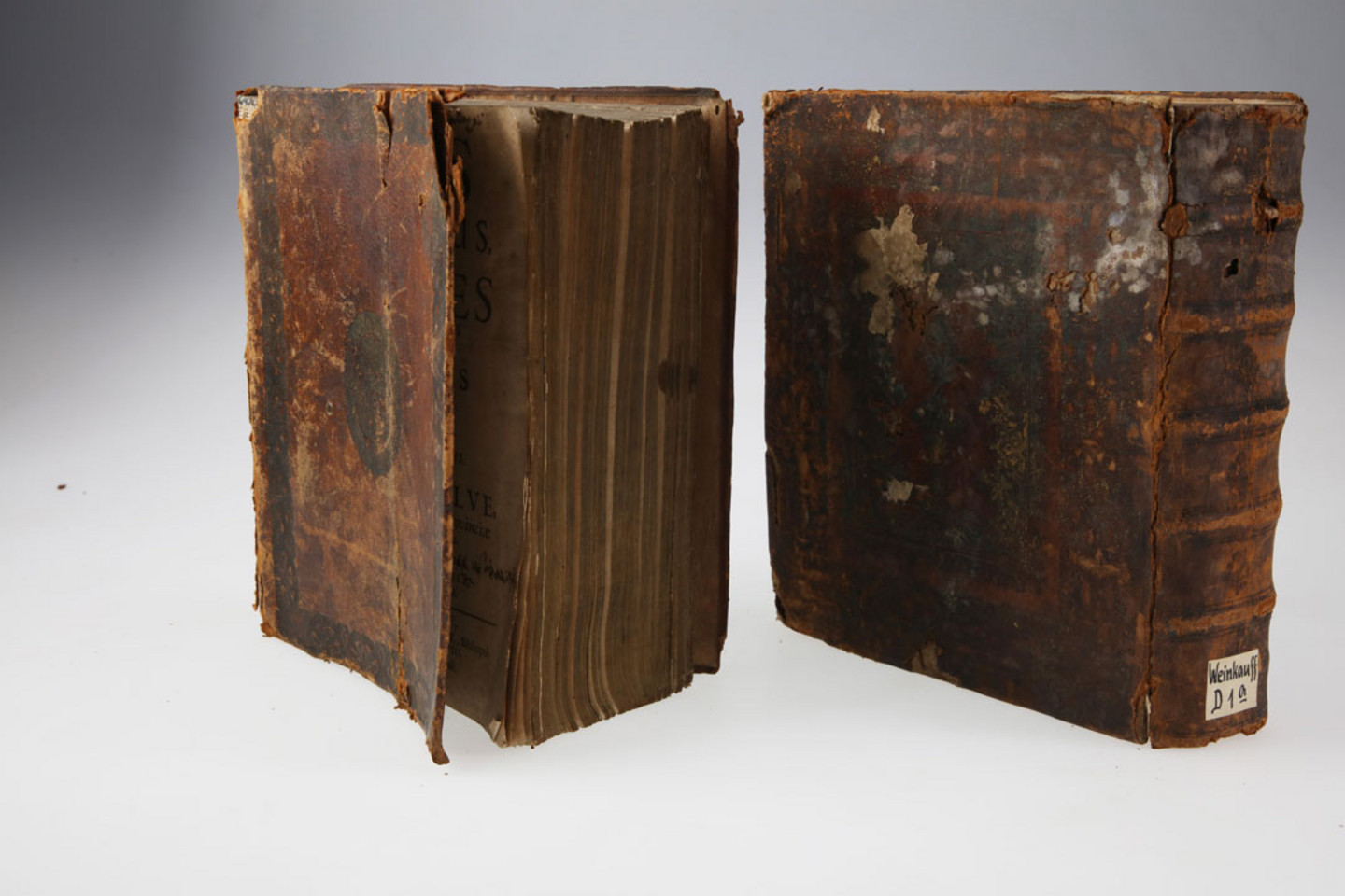 Foto beschädigter Bücher aus dem Jahr 1738: Laselve, Zachari: Annus apostolicus. Coloniae: Pütz,1738. Signatur: WEIN.D40+A