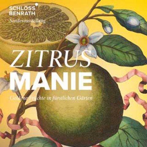 Poster with the words "Zitruesmanie". Large lemons are depicted in the background.