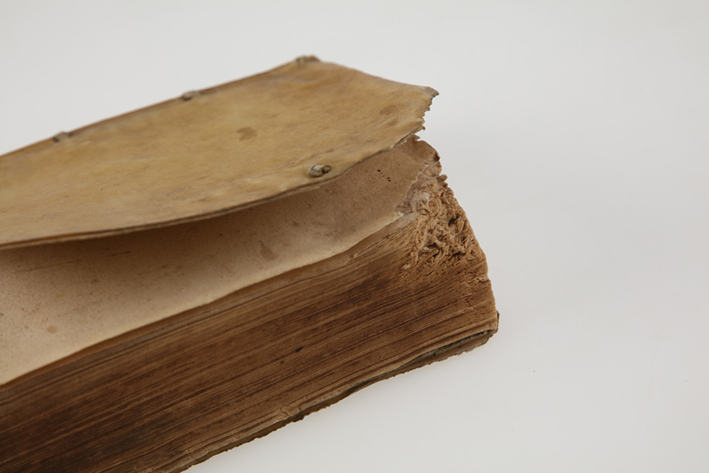 Foto eines beschädigten Buches aus dem Jahr 1791: Trithemius, Johannes: Polygraphia. - Coloniae: Johann Birckmann & Dietrich Baum, 1571. Signatur: A5/7406. Die Projektnummer lautet 2022/0008