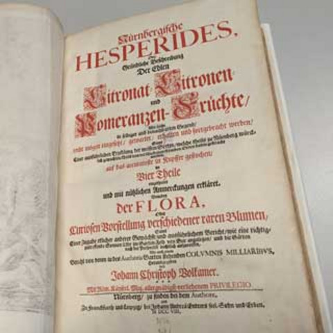 Photo of a title page. The typeface is in black and red.