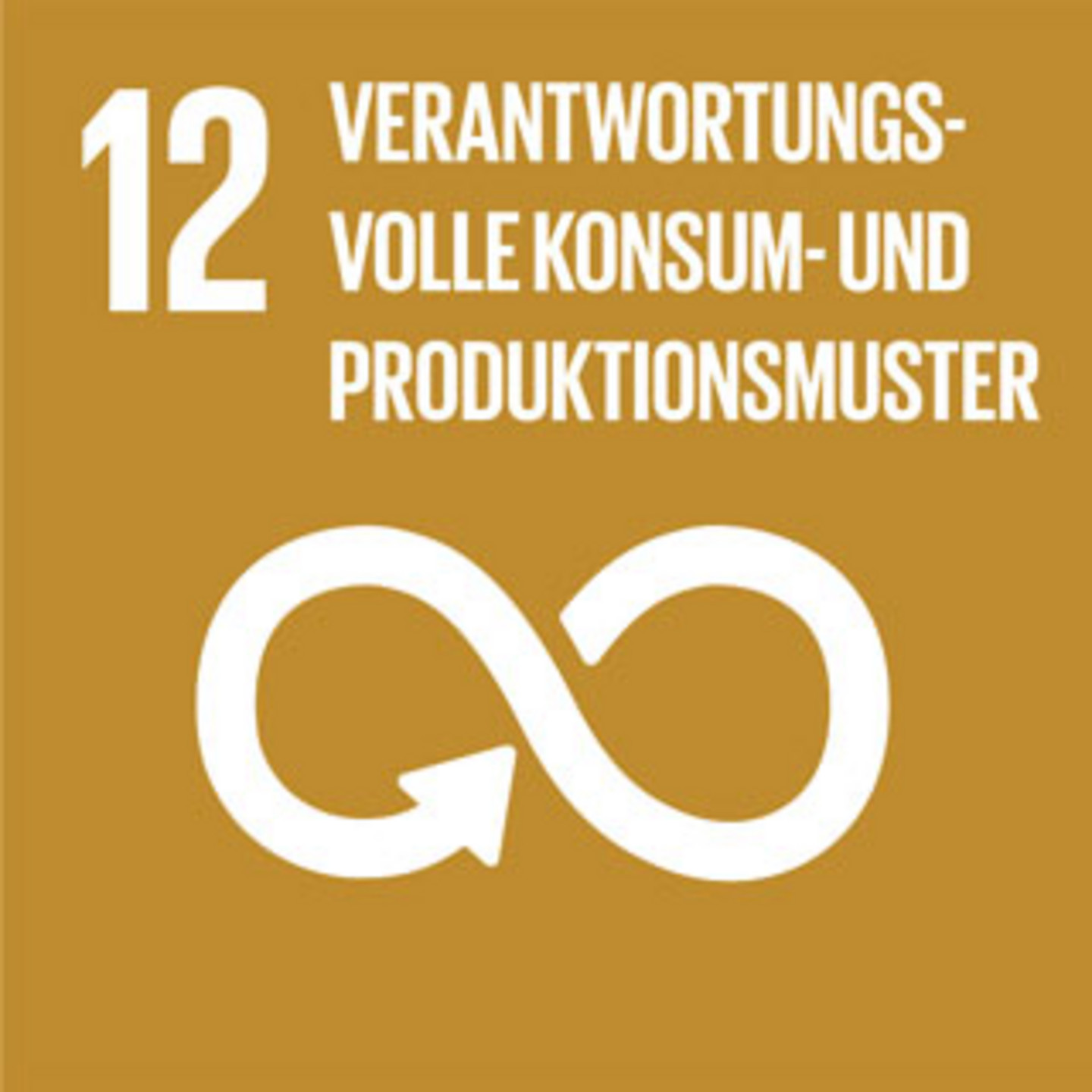 Ein brauner Hintergrund mit der Schrift "Verantwortungsvolle Konsum- und Produktionsmuster".